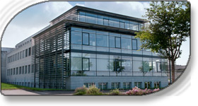 Company profile
