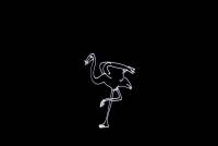 Laserworld CUBE 1.5 laser beam and explanatory image 17