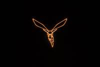 Laserworld CUBE 3 laser beam and explanatory image 57