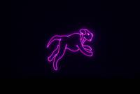 Laserworld CUBE 3 laser beam and explanatory image 52