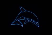 Laserworld CUBE 3 laser beam and explanatory image 49