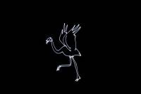 Laserworld CUBE 7 laser beam and explanatory image 24