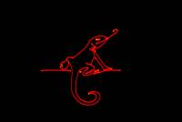 Laserworld CS-3000 micro laser beam and explanatory image 31