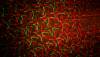 Laserworld_CS-24000RGB_FX-0003_beam.jpg laser image 3
