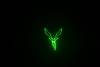 Laserworld_CS-1000RGB-0095_beam.jpg laser image 8