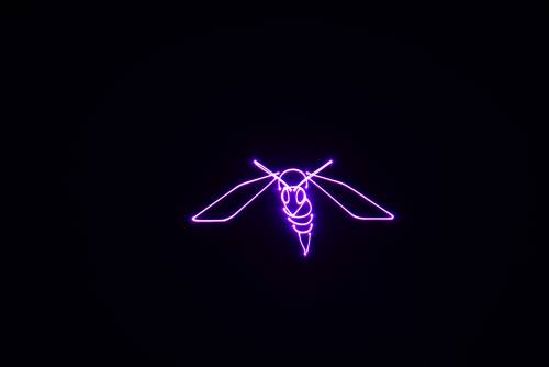 Laserworld DS-1000RGB MK5 – Beamshot 22