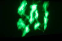 Laserworld FX GOBO Wheel (1 pc) laser beam and explanatory image 11