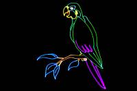 tarm 3 FB4 OUTDOOR laser beam and explanatory image 11