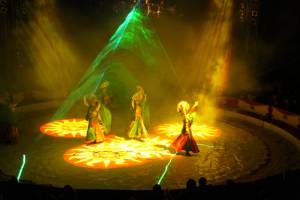 Christmas Circus in Karlsruhe / Germany - Flashlight Showtec - 7