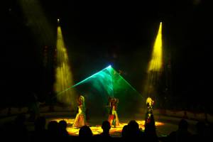Christmas Circus in Karlsruhe / Germany - Flashlight Showtec - 12