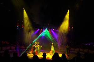 Christmas Circus in Karlsruhe / Germany - Flashlight Showtec - 13