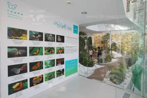 Multimedia-Kunst @ Al Noor Island, Shardscha, VAE - 13