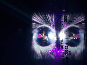 Taif Roses Multimedia Show - 8